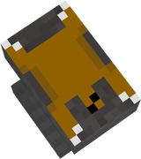 an animal