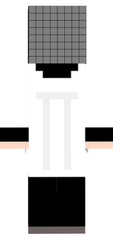 skin mc