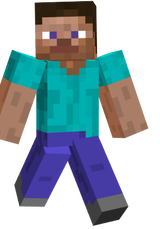 steve