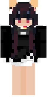 salem wip
