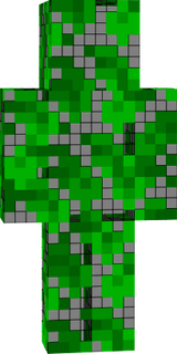 leaf skin