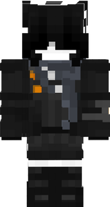 v1