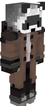 RACCOON