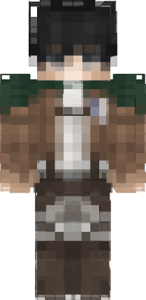 Preview of texture: levi