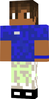 skiin foxofc