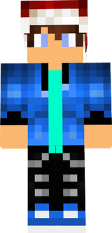 Skipidi