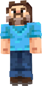 I...AM STEVE