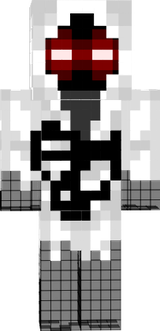 entity 303