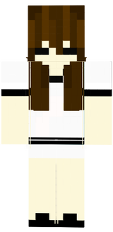 naswq16skin3
