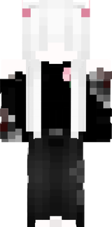 nasetwq
