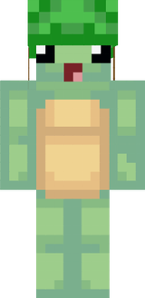 turtle