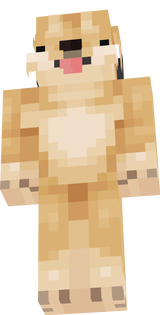 shiba