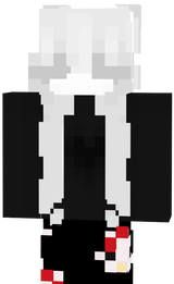 skin final 