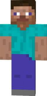 d. steve