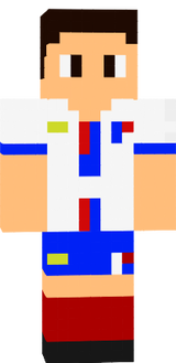 Skin minecraft