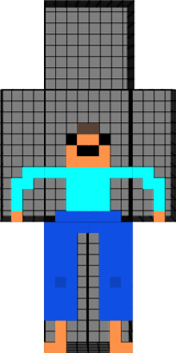 Skin