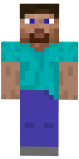 Wrong Face Steve