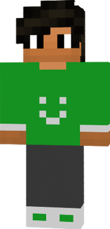 SkinPrincipal