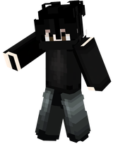heider N