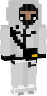 skin minecraft