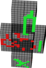 mi skin