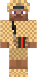 mc skin
