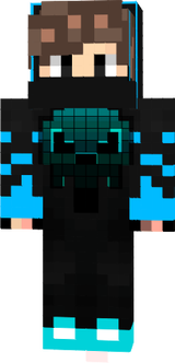 Skin 1