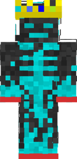 1.16.5