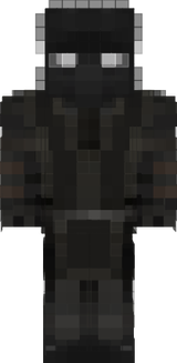 NINJA