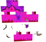 w2.3
