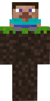 mini Steve
