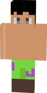 skin