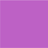 magenta_wool