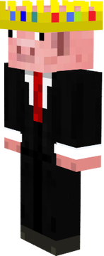 technoblade me