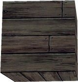 poll