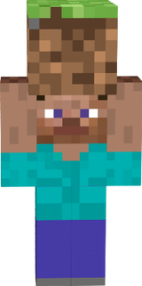 steve+Grasblock