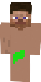 steve
