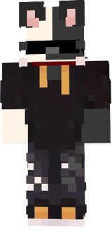 gato