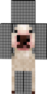 cao do vava