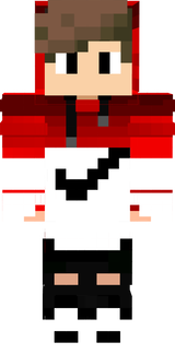main skin