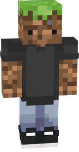 http://novask.in/6506213377.png