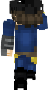 Fallout64
