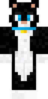 aaa