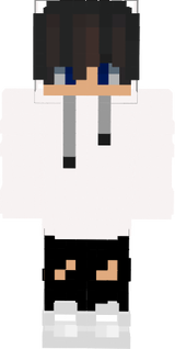 sas