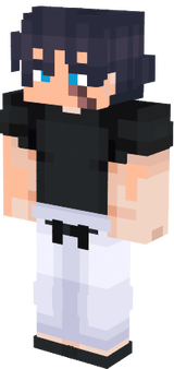 rayko 2