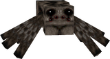 spider