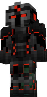 skin