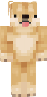 狗狗