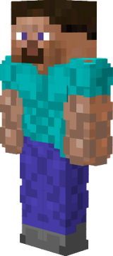 steve