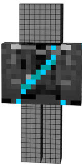 torso